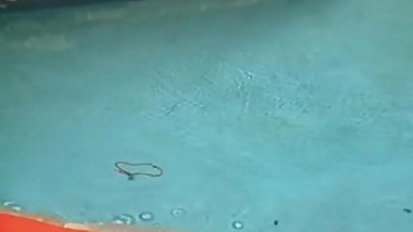 The Golden Age of Porn - Kristara Barrington