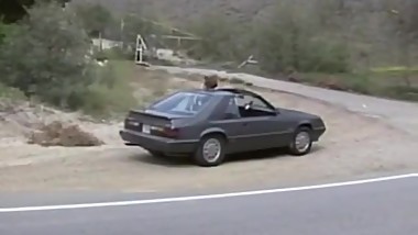 Do It In The Road